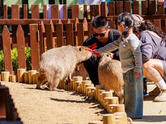 -大连森林动物园