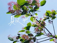 -周口店坡峰岭风景区