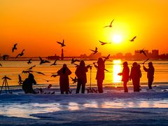 -老虎石海上公园