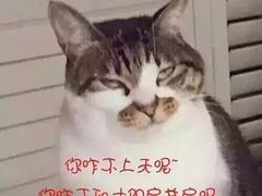 -凤凰欢乐谷