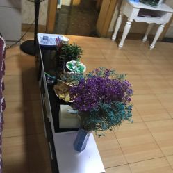 -本真坊美容美体沙龙