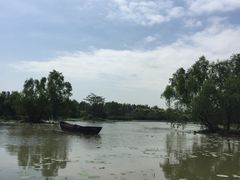 -大湾区中央湿地公园