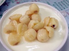 -义顺牛奶公司(新马路老店)