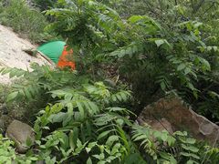 -碓臼峪自然风景区