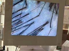 -紫荆广场·花漫里