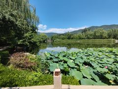-国家植物园