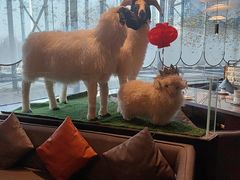 -百草滩羊清水涮羊肉·清真·宁夏盐池滩羊(莲花桥店)