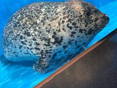 -成都浩海立方海洋公园