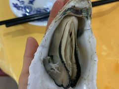 -蚝专家(北滘店)