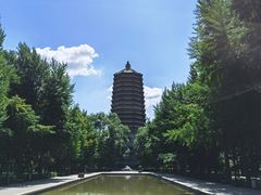 -玲珑塔公园