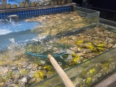 -六安宴(解放北路店)