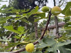 -T80科技文化国际社区-停车场