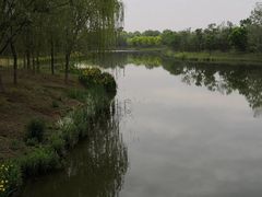-东郊湿地公园