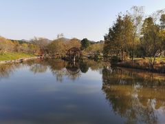 -黄陂区野村谷景区