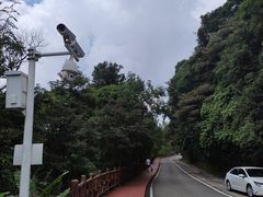 -广州市石门国家森林公园