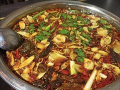 -费明中罗非鱼(大石坝店)
