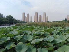 -前关湿地公园
