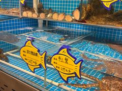 -韩记海鲜饺子旗舰店(红海新区店)