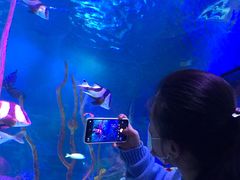 -沈阳海洋探索中心