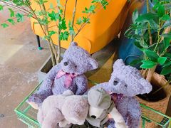 -咖法森林·咖啡  酒吧(天河店)