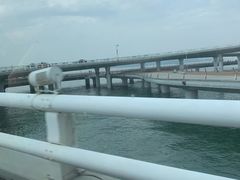 -演武大桥观景平台