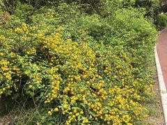 -唐城墙遗址公园