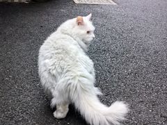 -浅行深作咖啡坊