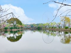 -无锡蠡湖国家湿地公园-蠡园