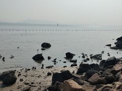 -深圳湾公园(南山区)