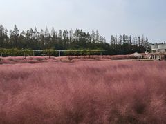 -嘉北郊野公园