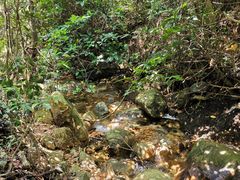 -牛鱼嘴原始生态风景区