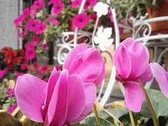 -ITA·意塔意大利餐厅(亦庄店)
