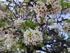 -渤海大学(松山校区)