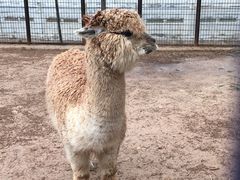 -山西乌金山旅游区