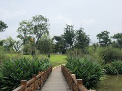 -桤木河湿地公园