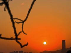 -深圳湾公园(南山区)