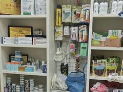 -米苏动物医院·犬猫专科·骨科外科内窥镜