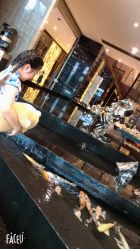 -静安洲际酒店·宴会厅