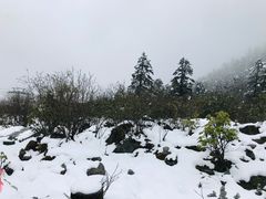 -海螺沟风景区