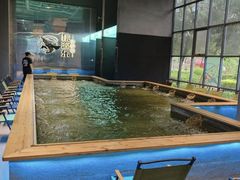 -桃源乐钓虾馆(松岗概念店)