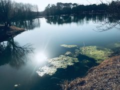 -梁鸿国家湿地公园