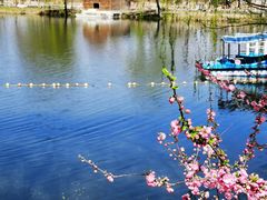 -稻香湖景欢乐岛温泉城堡