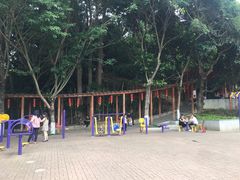 -清溪大王山森林公园