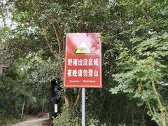 -紫金山山顶公园