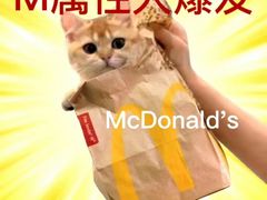 -麦当劳(皇岗路店)