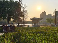 -飞来湖湿地公园