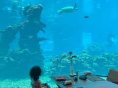 -海棠湾洲际-涛·海底餐厅·美人鱼·自助餐·海底隧道