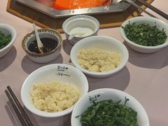 -蜀九香火锅(九眼桥店)