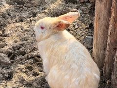 -水上乐园·欢乐世界