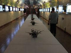 -青岛葡萄酒博物馆